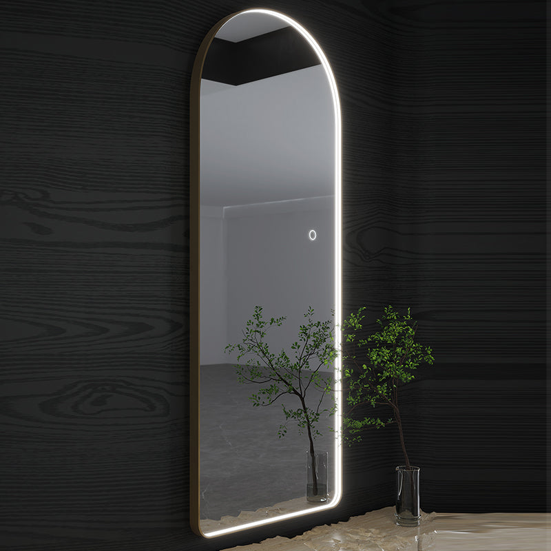 Salon Full Length Mirror with Light